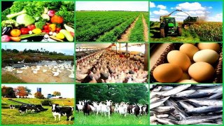 Top Ten Agribusinesses | دس بہترین زرعی کاروبار