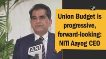 Union Budget is progressive, forward-looking: NITI Aayog CEO