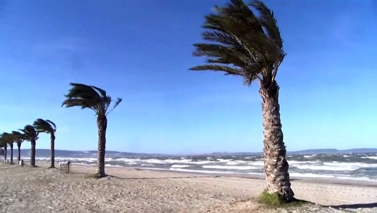 Les rafales de mistral ont atteint les 110km/h ce matin à Marignane