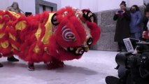 È l'anno della tigre, il Capodanno cinese a Napoli si festeggia nel museo