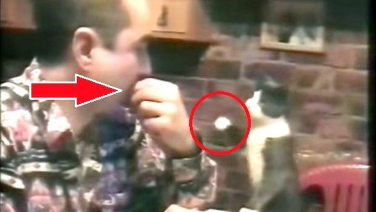 Dieser Mann ist schwerhörig. Es ist genial, wie er mit seiner Katze kommuniziert!