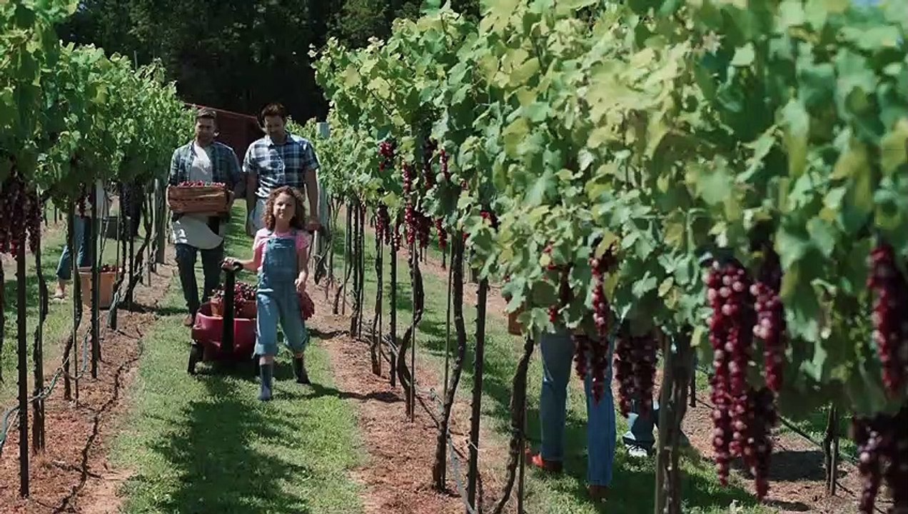 A Country Romance - Trailer