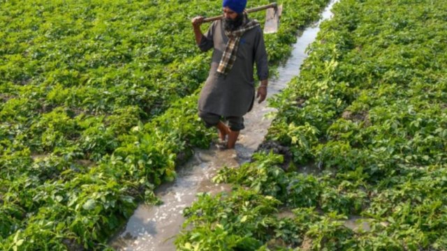 Union Budget focuses on farmers, agriculture productivity