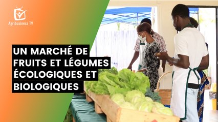 Bénin : Un marché de fruits et légumes écologiques et biologiques