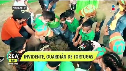 Joven invidente se dedica al rescate, cuidado y liberación de tortugas