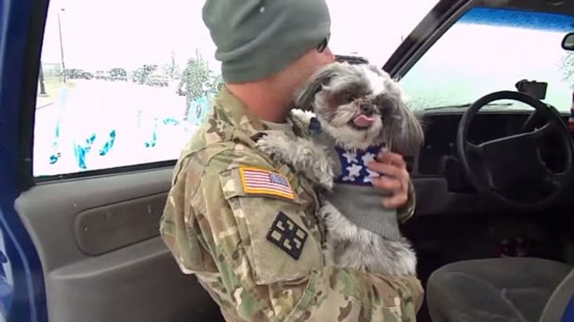 Diese Hündin hat ihr Herrchen, einen Soldaten, seit Monaten nicht mehr gesehen. Ihr Wiedersehen wird Sie berühren.