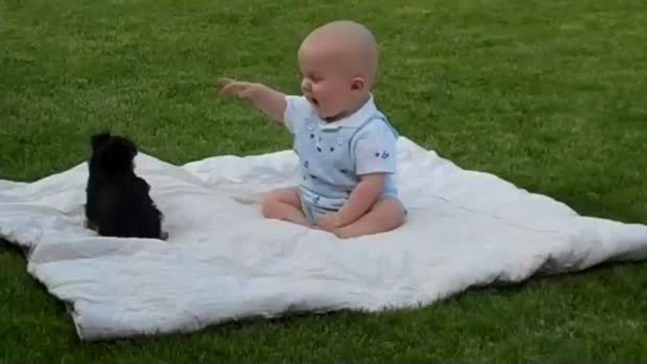 Dieses Baby saß gemütlich auf einer Decke. Aber ein Welpe hat alles durcheinander gebracht.