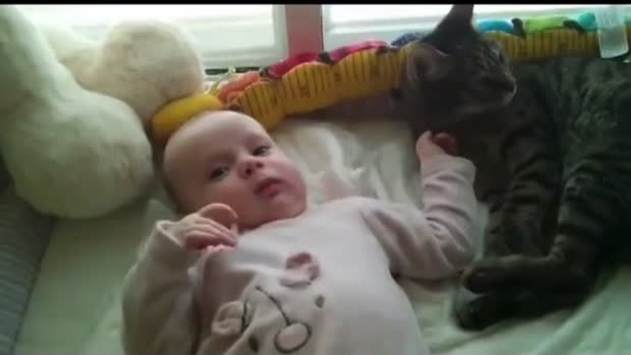 Diese Katze liebt diesen Säugling, aber weiß nicht sorecht, wie sie ihre Zuneigung zeigen soll.