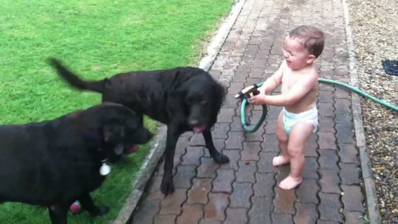 Die Hunde lieben es, wenn das Baby mit dem Wasserschlauch spielt.