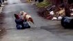 Die mutige Technik einer Frau mit dem Ziel einen streunenden Hund zu retten.