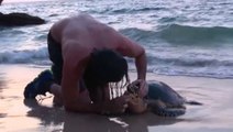 The Island: ein Kandidat rettet eine Schildkröte... durch Mund-zu-Mund-Beatmung!