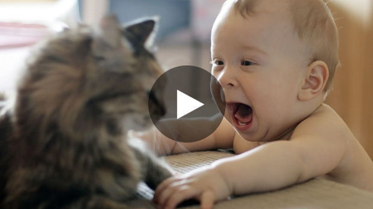 Dieses süße Baby und seine Katze amüsieren sich ganz köstlich.