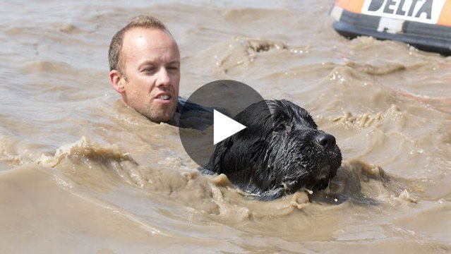 Dieser Mann gibt vor, in einem See zu ertrinken. Sehen Sie sich die unglaubliche Reaktion seines Hundes an!