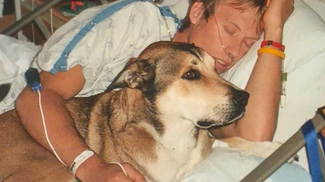 Eine Hommage eines Mannes an seinen Hund in den letzten Atemzügen.