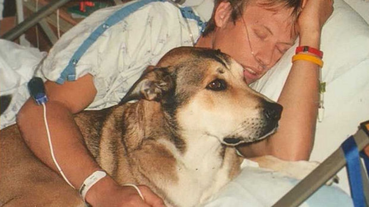 Eine Hommage eines Mannes an seinen Hund in den letzten Atemzügen.