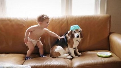 Kind schreibt seinem Hund im Paradies und erhält eine bewegende Antwort.