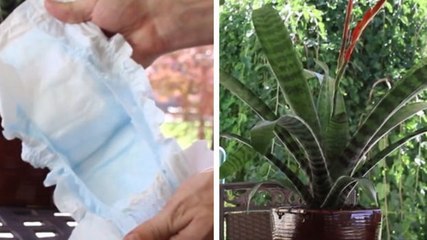 Mit einer einfachen Windel hat es dieser Typ geschafft, etwas zu kreieren, das Ihre Gartenarbeit revolutionieren wird!