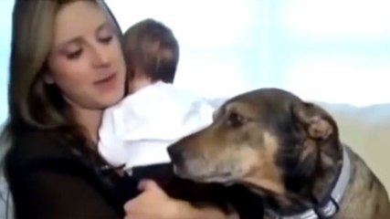 Dieser Hund hat ein Baby gerettet. Sein Mut wird Sie verblüffen.