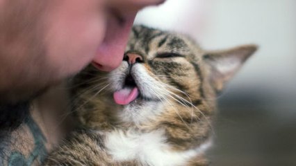 Ein Mann und seine Katze drücken sich gegenseitig ihre Liebe aus.