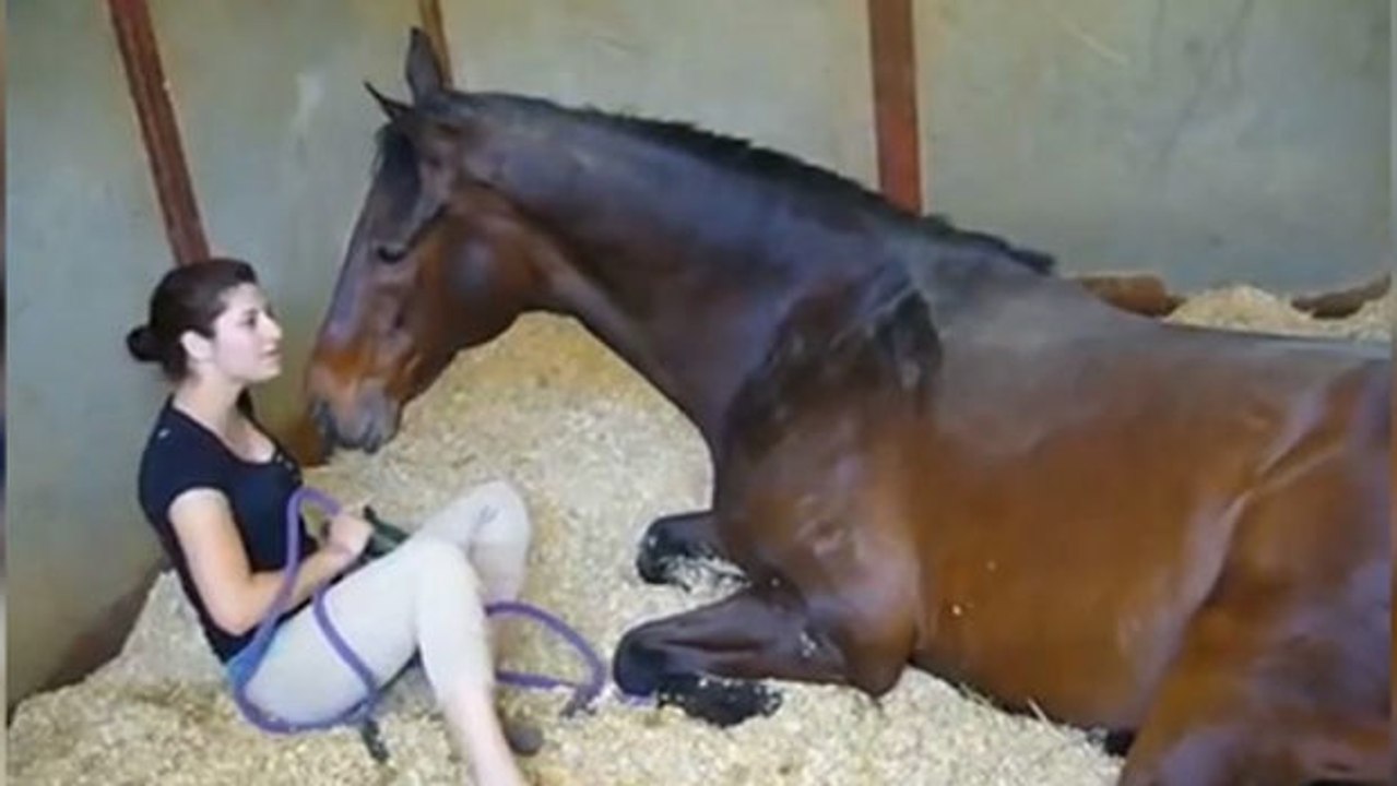 Dieses Pferd will einfach nicht von seiner Besitzerin los. Sie verbindet etwas ganz Besonderes.