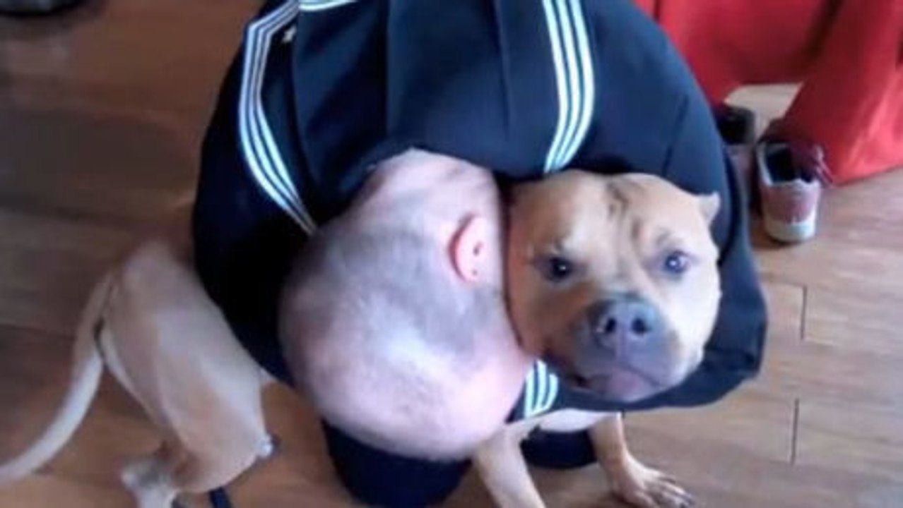 Ein Hund begrüßt sein Herrchen, das mehrere Monate abwesend war.