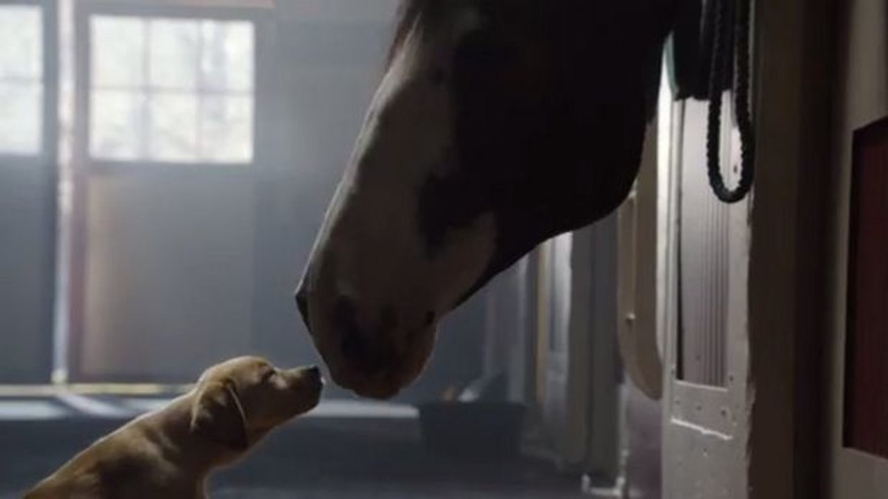 Mit dieser Werbung wurde der emotionale Nerv wirklich getroffen!