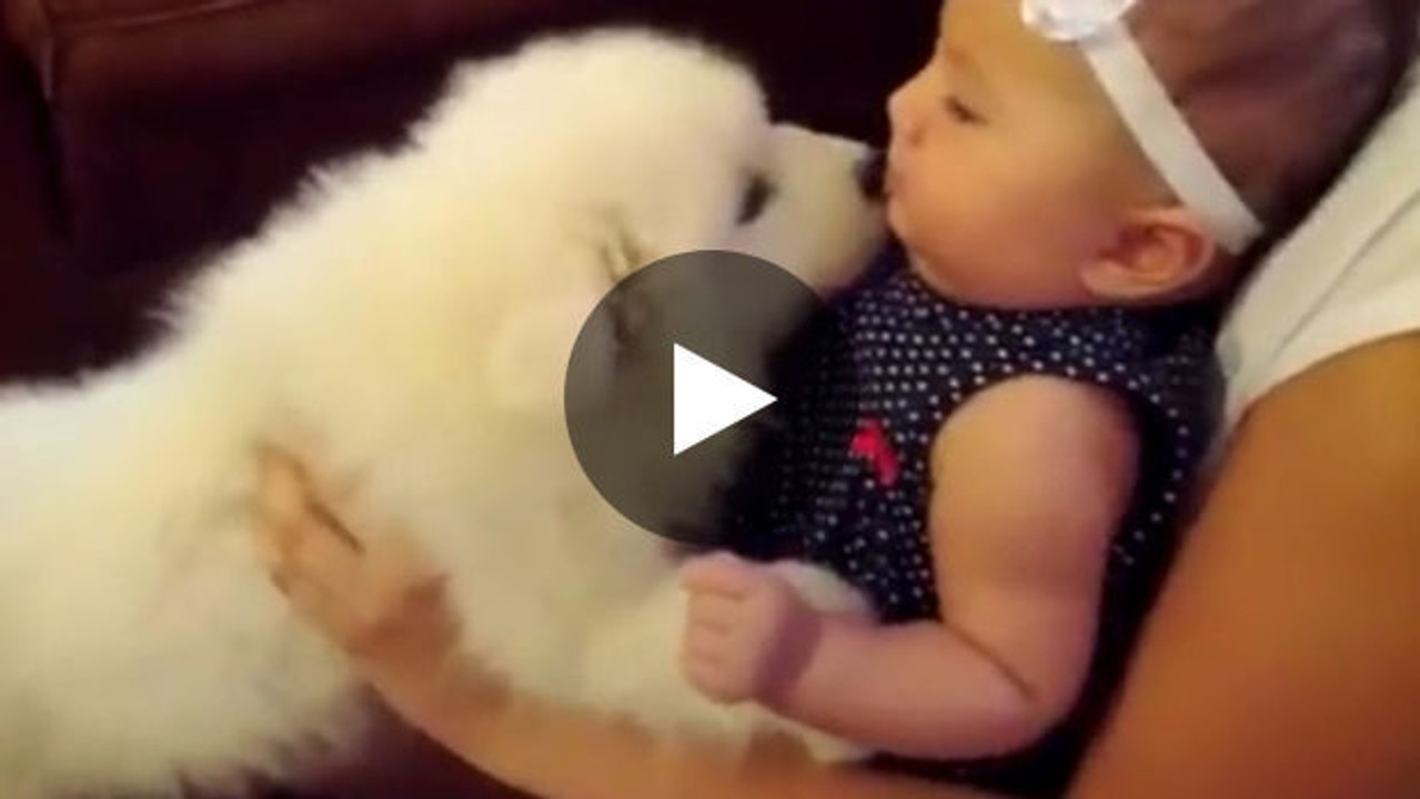 Ein Welpe und ein Baby sehen sich zum ersten Mal.