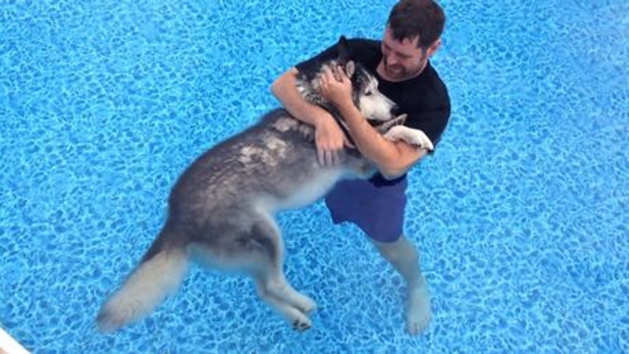 Er geht mit seinem alten Hund in den Pool, um seine Schmerzen zu lindern.