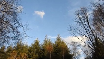 Der Zoom dieses Fotoapparats wird Sie verblüffen!