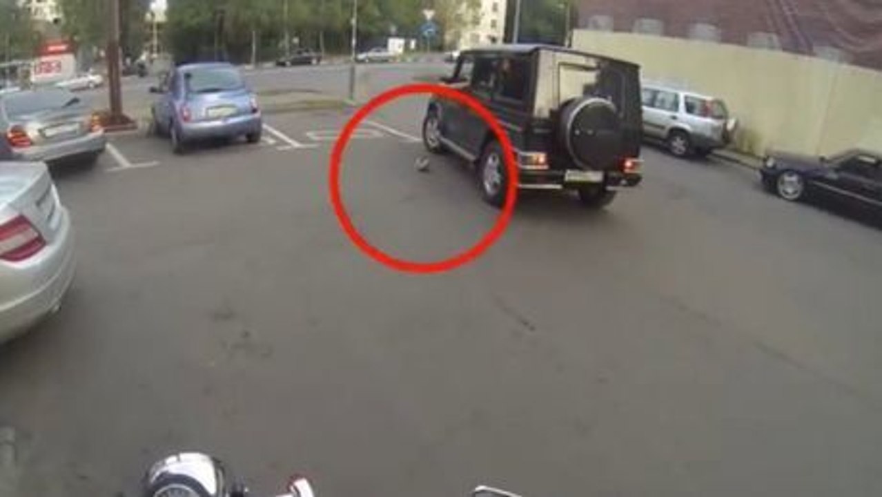 Auf Ihrem Motorrad erteilt diese Frau den Autofahrern eine gute Lehre in Sachen Umweltschutz. Sie werden es nicht fassen können.