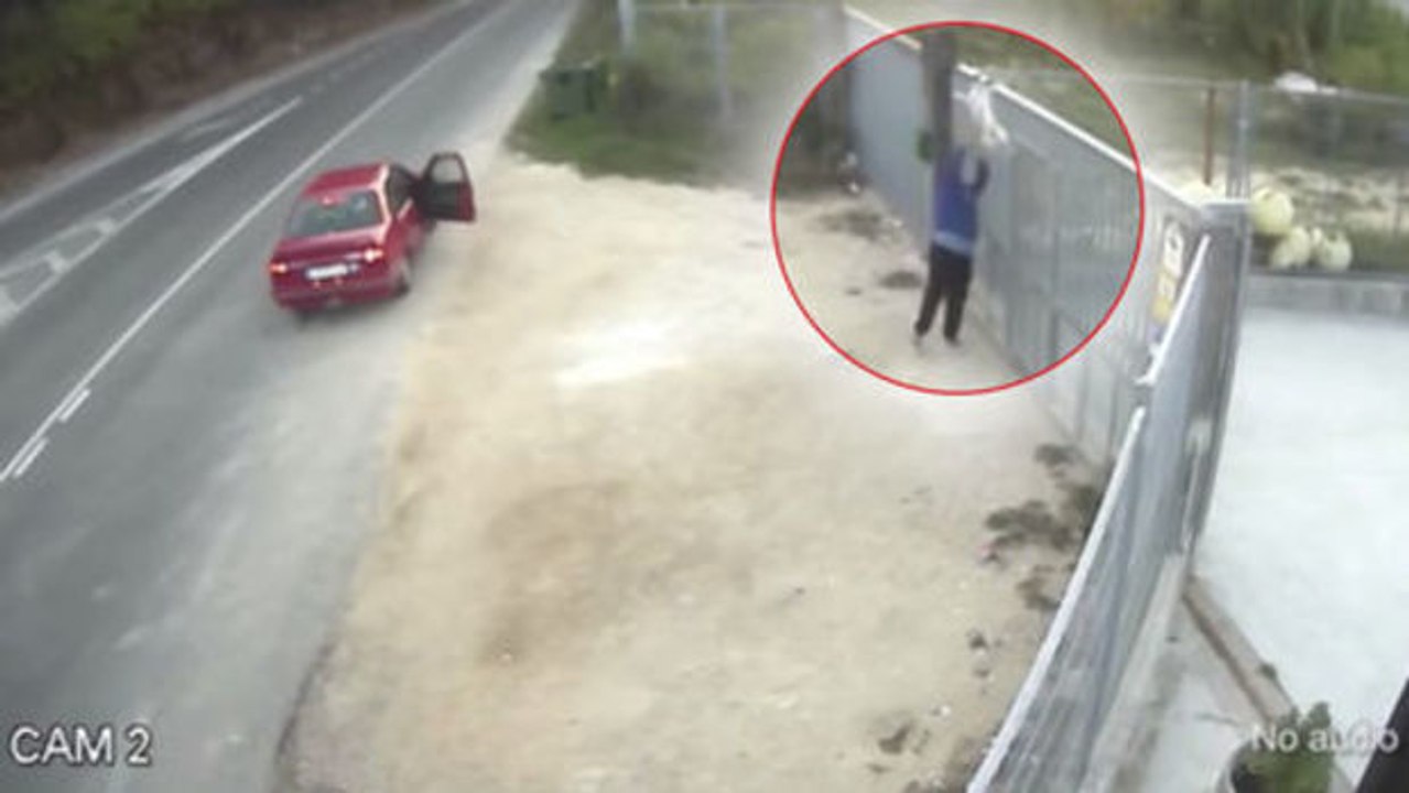 Video eines ausgesetzten Hundes empört User!