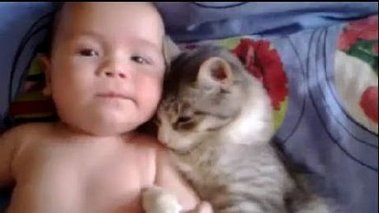 Diese kleine Katze liebt das Baby und schmust gerne mit ihm.