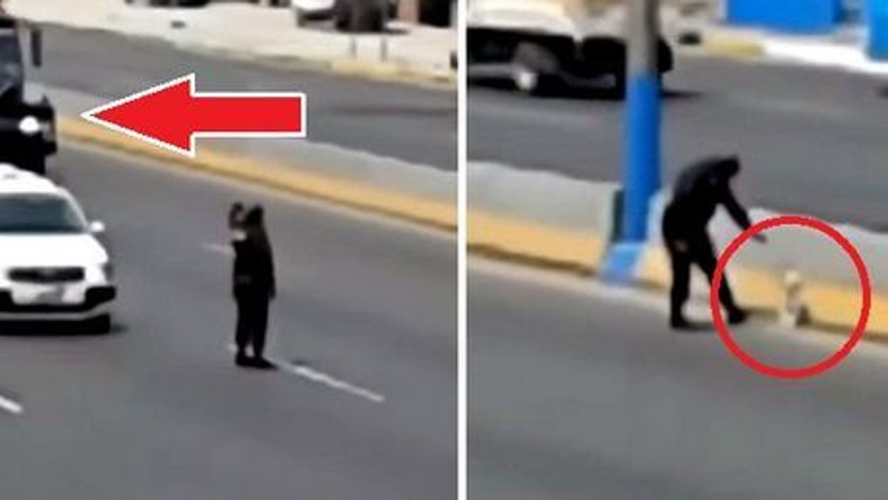 Auf der Autobahn hat dieser Mann den ganzen Verkehr gestoppt. Der Grund dafür ist berührend.