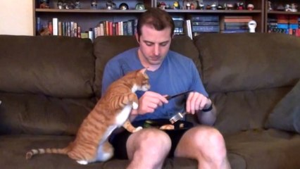 Wenn man essen will und die Katze in der Nähe ist.