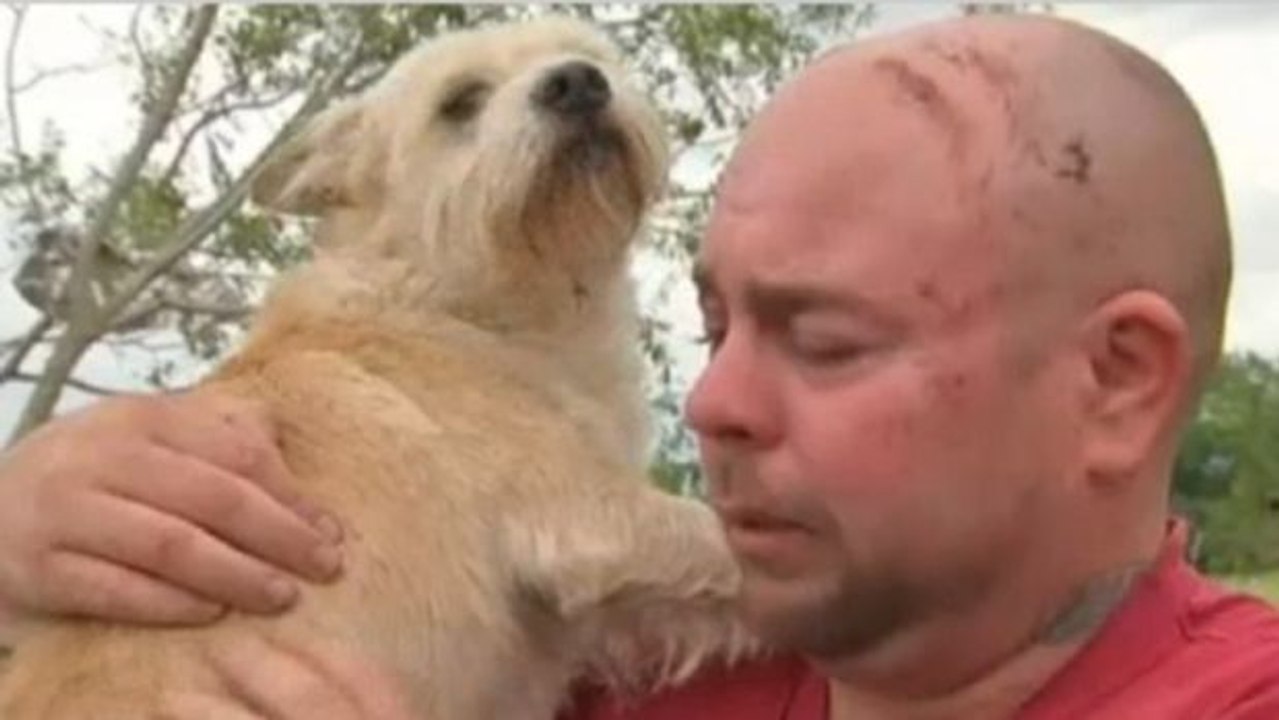Eine Familie findet nach einem Tornado ihren Hund wieder.