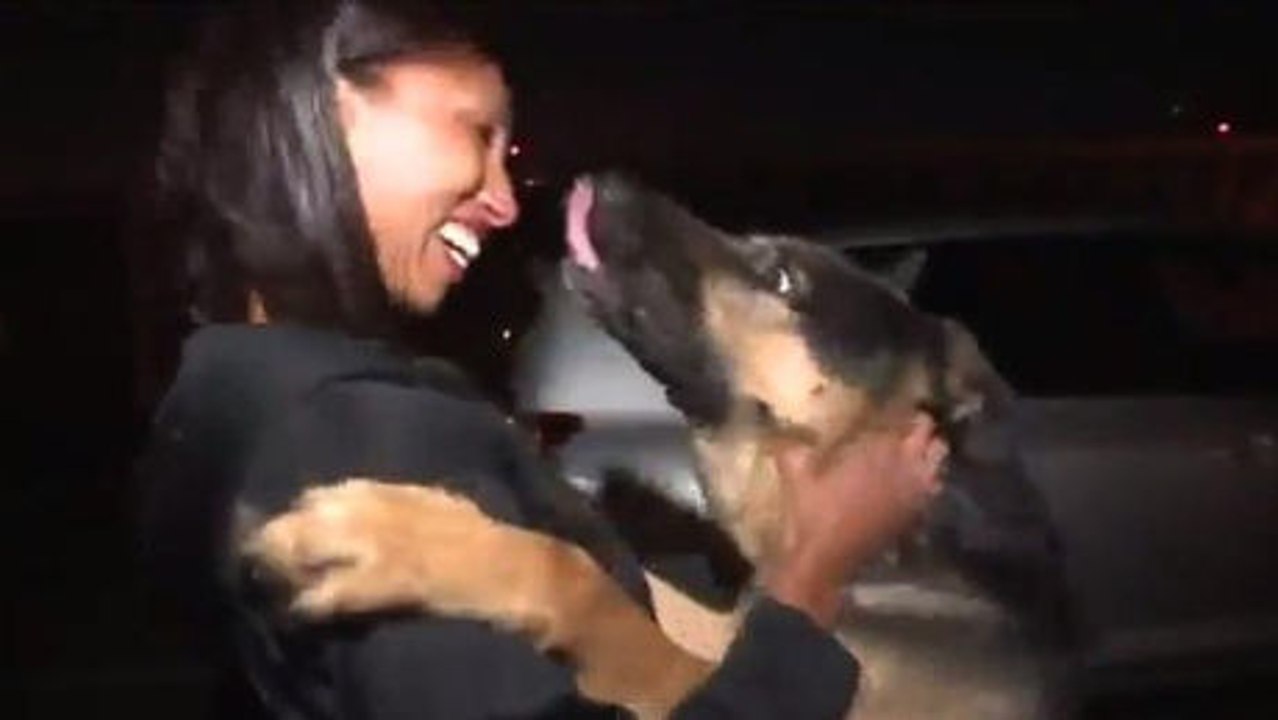 3 Jahre lang war dieser Hund verschwunden und ist nun wieder mit seiner Familie wieder vereint.