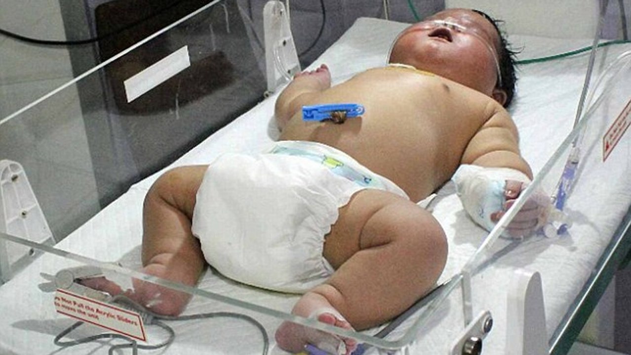 Indien: Das größte Baby des Jahres 2015 ist vor einigen Tagen zur Welt gekommen.