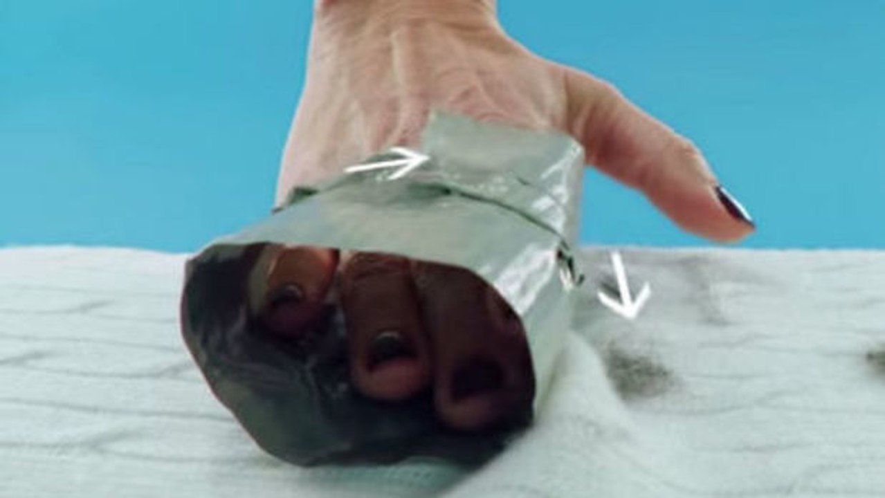 Sie haben Tierhaare auf Ihrer Kleidung? Dieser Tipp schafft Abhilfe.