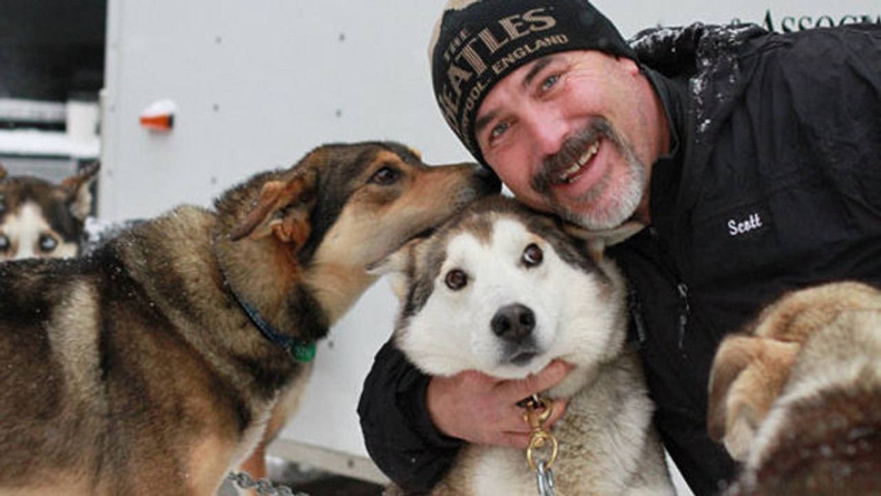 Schlittenhunde: Mehr als nur einfache Gefährten!