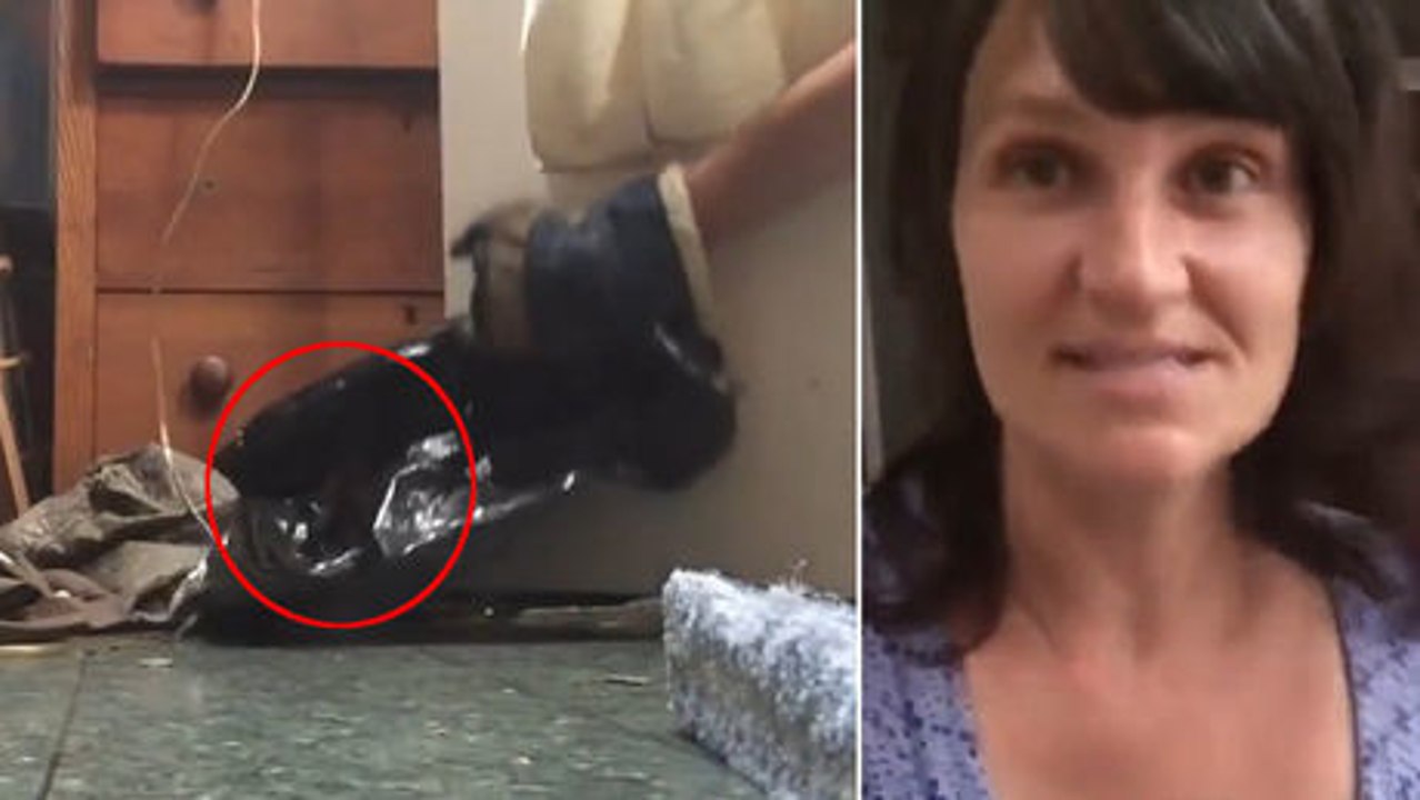 Sie denkt, dass sich ein wildes Tier bei ihr versteckt. Jedoch was sie entdeckt, ist niedlich.