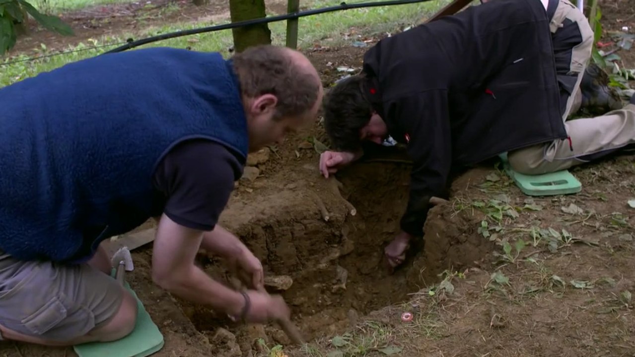 Unverhoffter Fund eines wertvollen Münzschatzes.