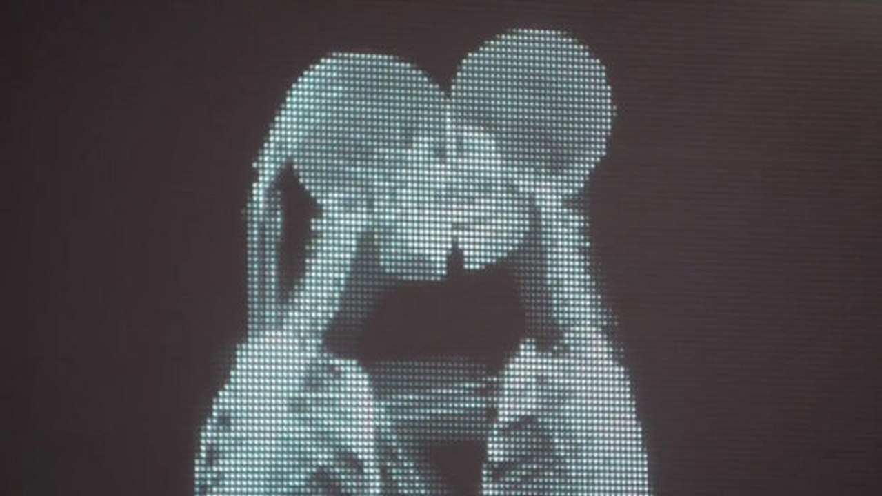 Diese Menschen wollten eine ergreifende Botschaft an die Welt senden. Mit Erfolg!