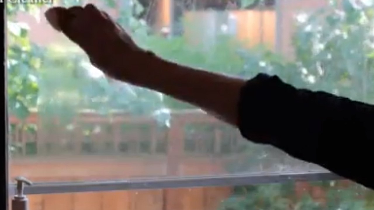 Um Ihre Fenster zu putzen, reicht eigentlich ein ganz simples Produkt.