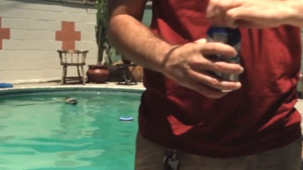 Wartet nicht mehr damit, eure gerade heruntergefallenen Getränkedosen zu öffnen. Ein unentbehrlicher Trick!