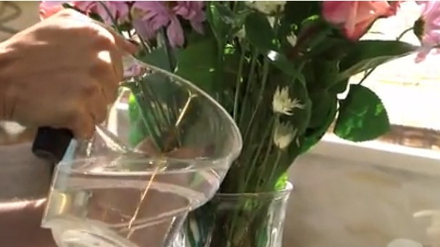 Mit diesem Tipp bleiben Ihre Schnittblumen viel länger frisch!