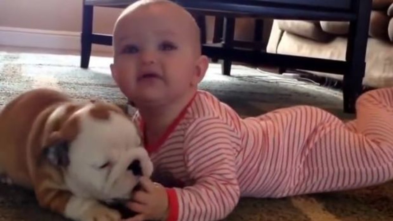 Dieses unzertrennliche Duo wird zusammen aufwachsen: ein Baby und ein Hundewelpe