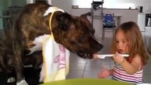 Dieses kleine Mädchen teilt sein Essen mit seinem Hund.