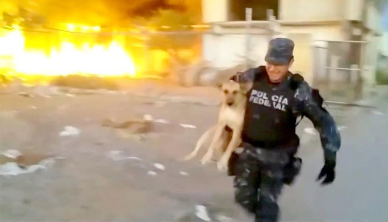 Dieser Polizist hat sein Leben riskiert, um einen Hund vom Verbrennungstod zu retten.