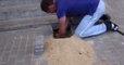 Fund hinter Steinplatte: Mann hört Geräusche und buddelt etwas Unglaubliches heraus