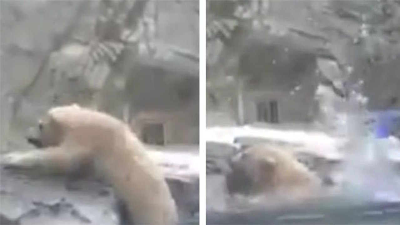 Gut, dass die Mama nicht weit weg ist...